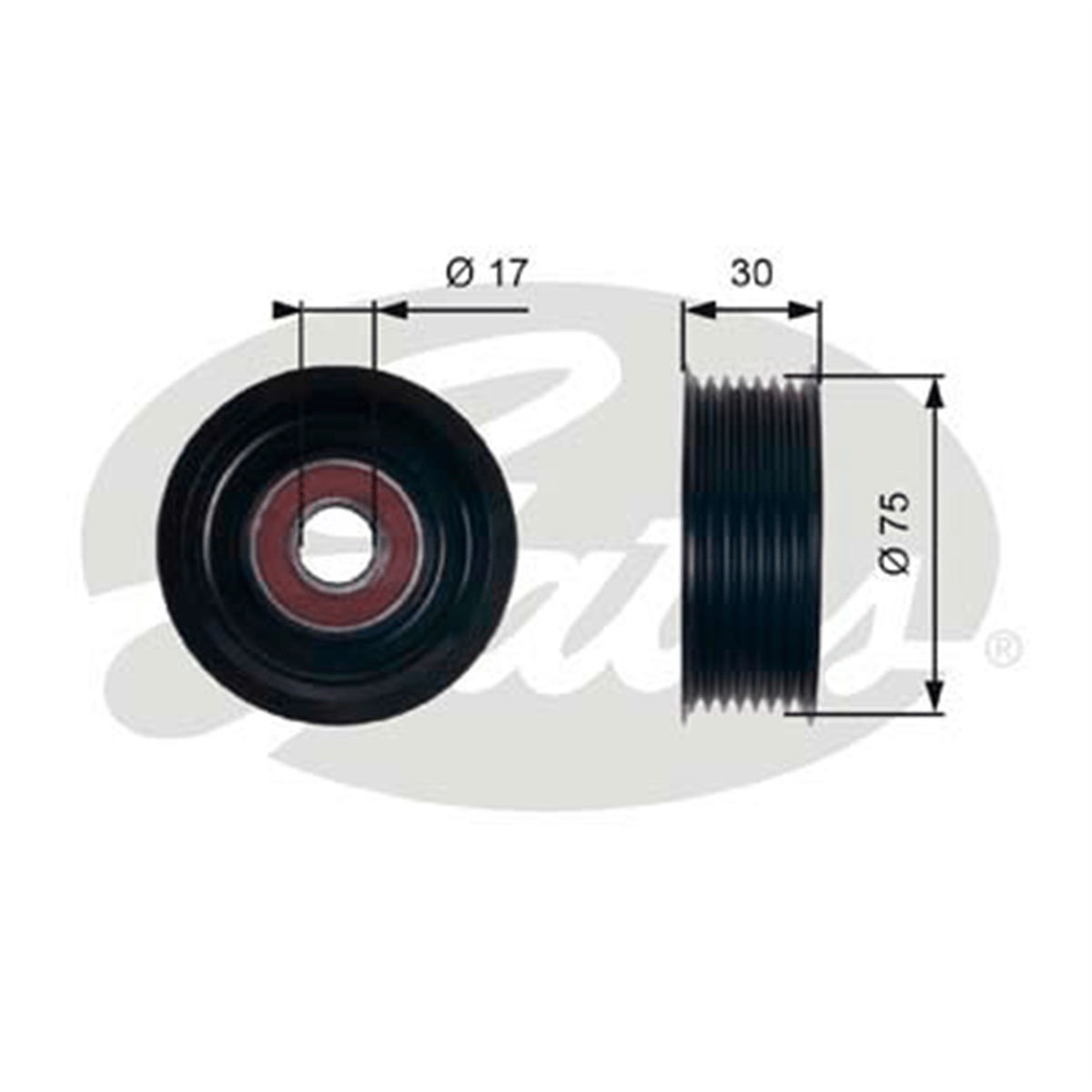 GATES T36320 - V Kayis Avare Kasnak - Japon Civic (ep, Fn) Hb