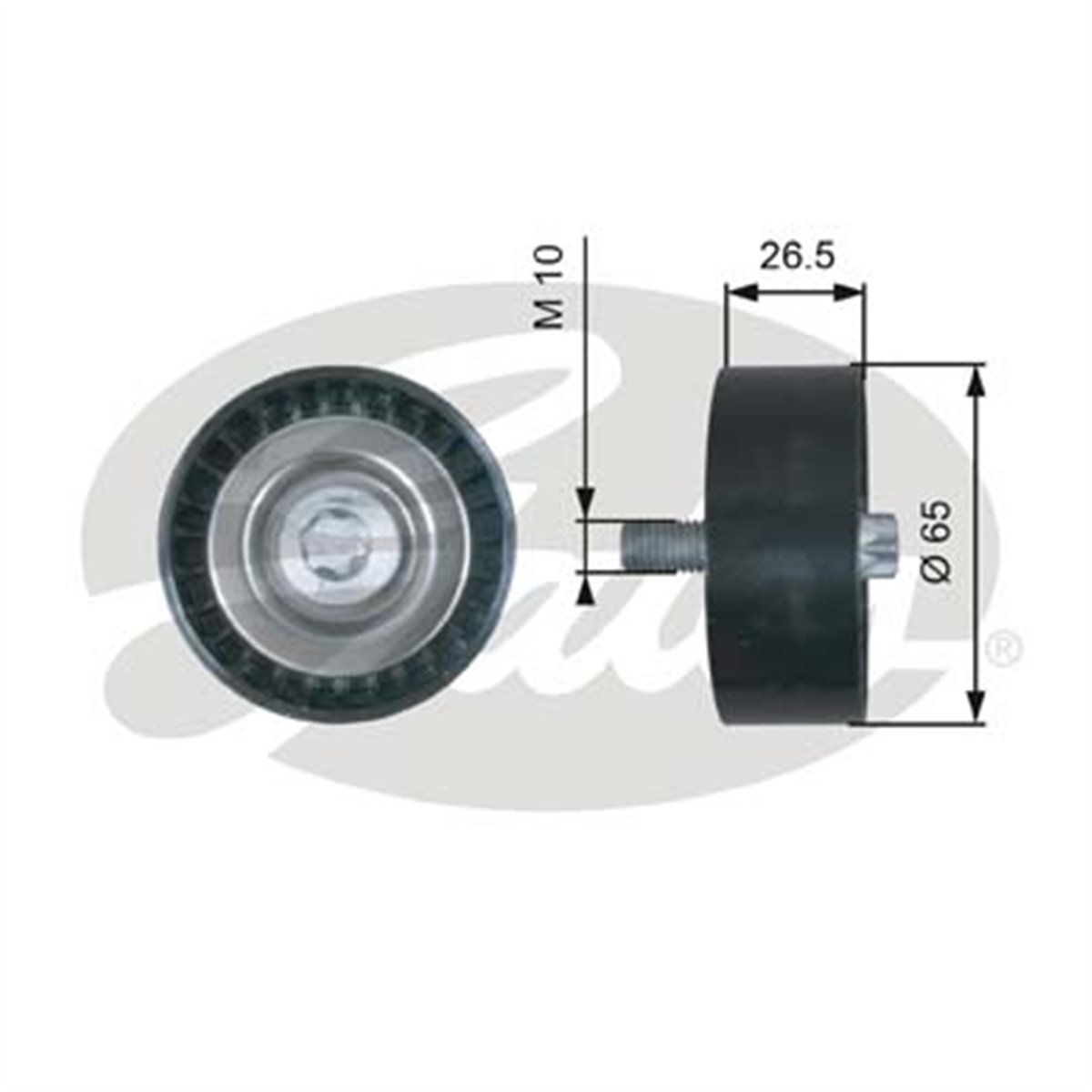 GATES T36464 - V Kayis Gergi Rulmani - Fiat Jeep Compass-mercedes 204-212-glk-639-spr