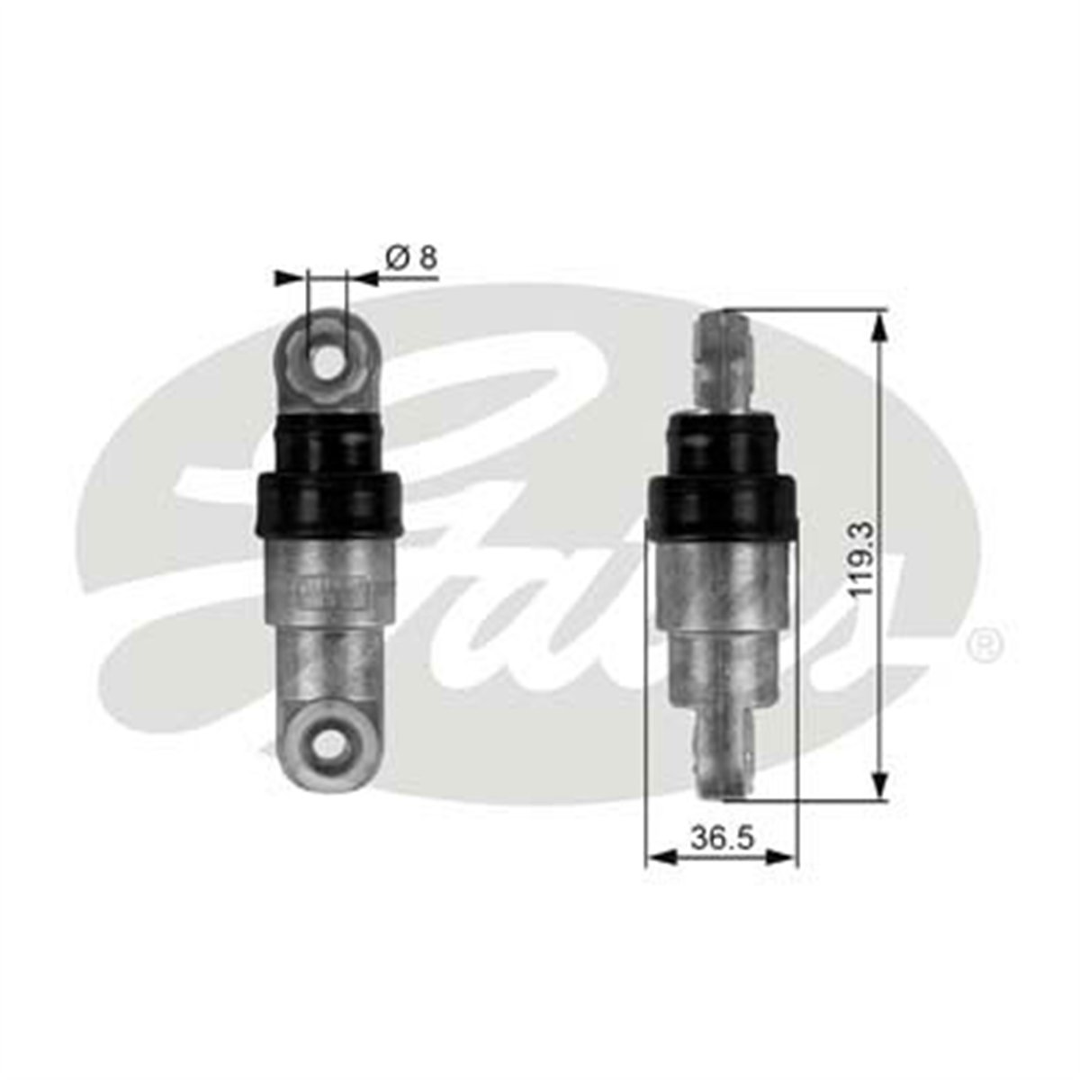 GATES T38218 - V Kayis Gergi Amortisörü
v Kayis Gergi Amortisörü - Bmw E38-39-31-x5