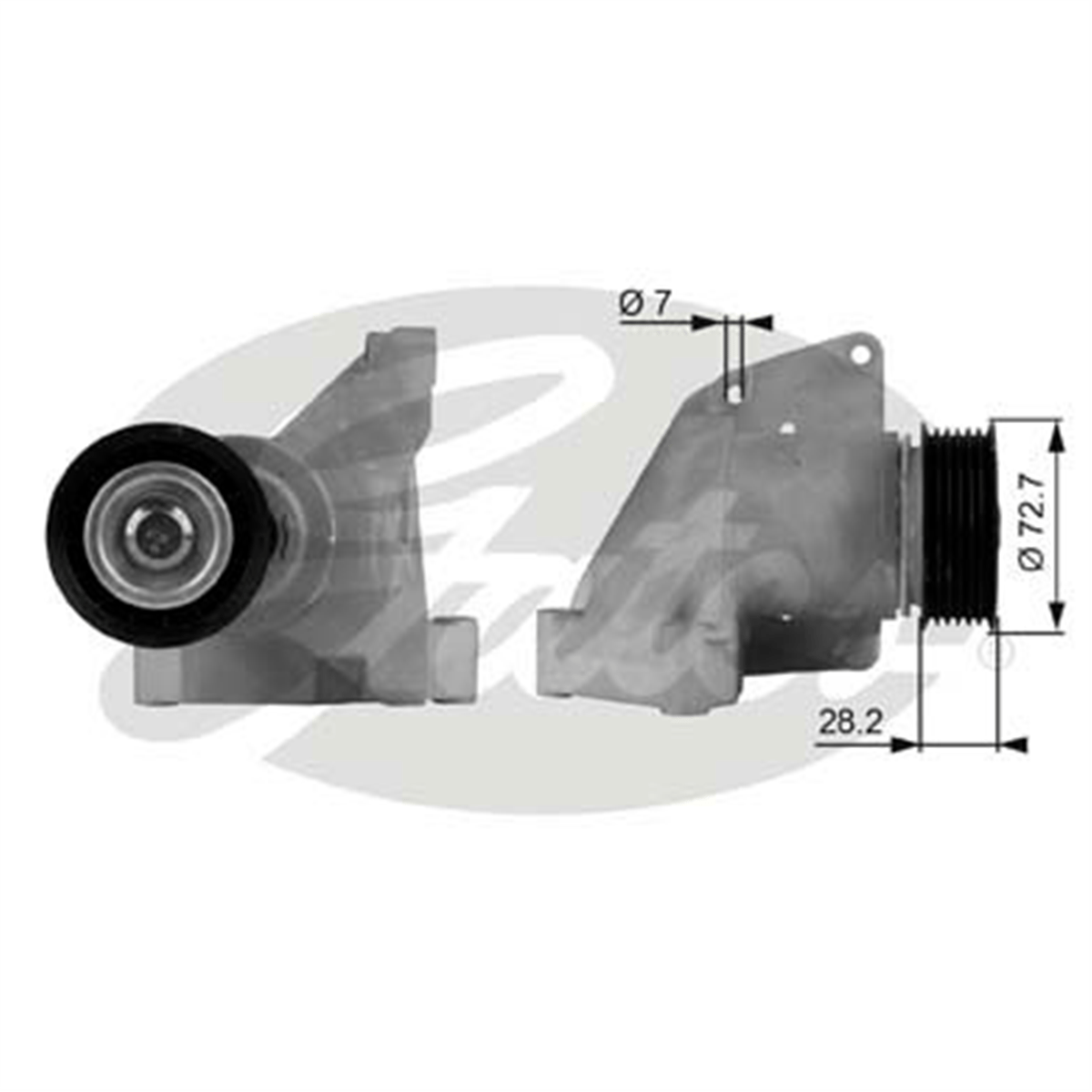 GATES T38316 - Direksiyon Pompa Gergisi - Ford Focus