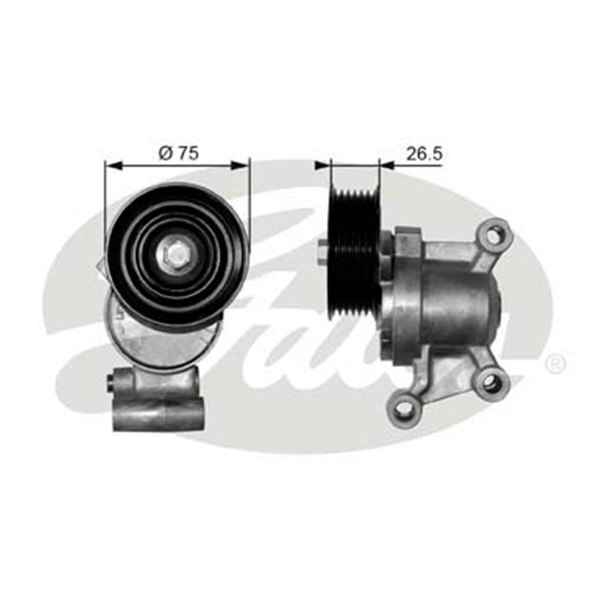 GATES T38357 - V Kayis Gergisi - Japon Mazda 3 (bk, Bl)