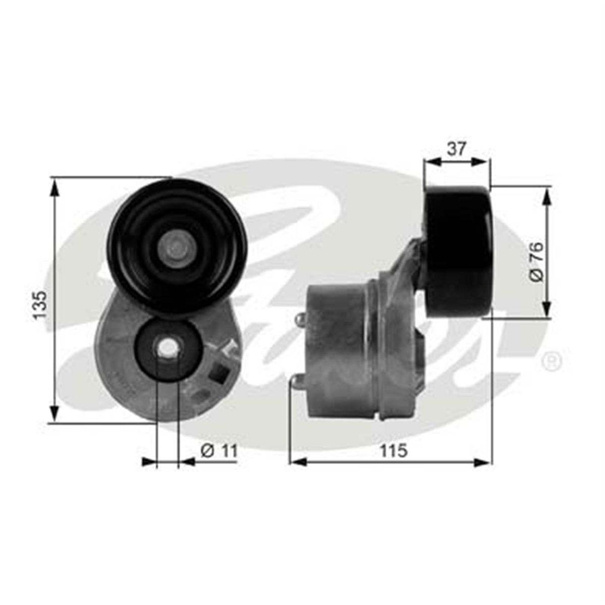 GATES T38431 - V Kayis Gergi Rulmani - Ford Transit V-184