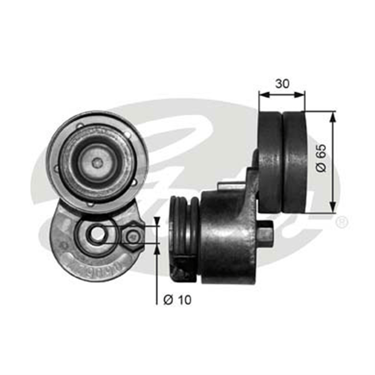 GATES T38482 - V Kayis Gergisi Komple - Renault Master/laguna