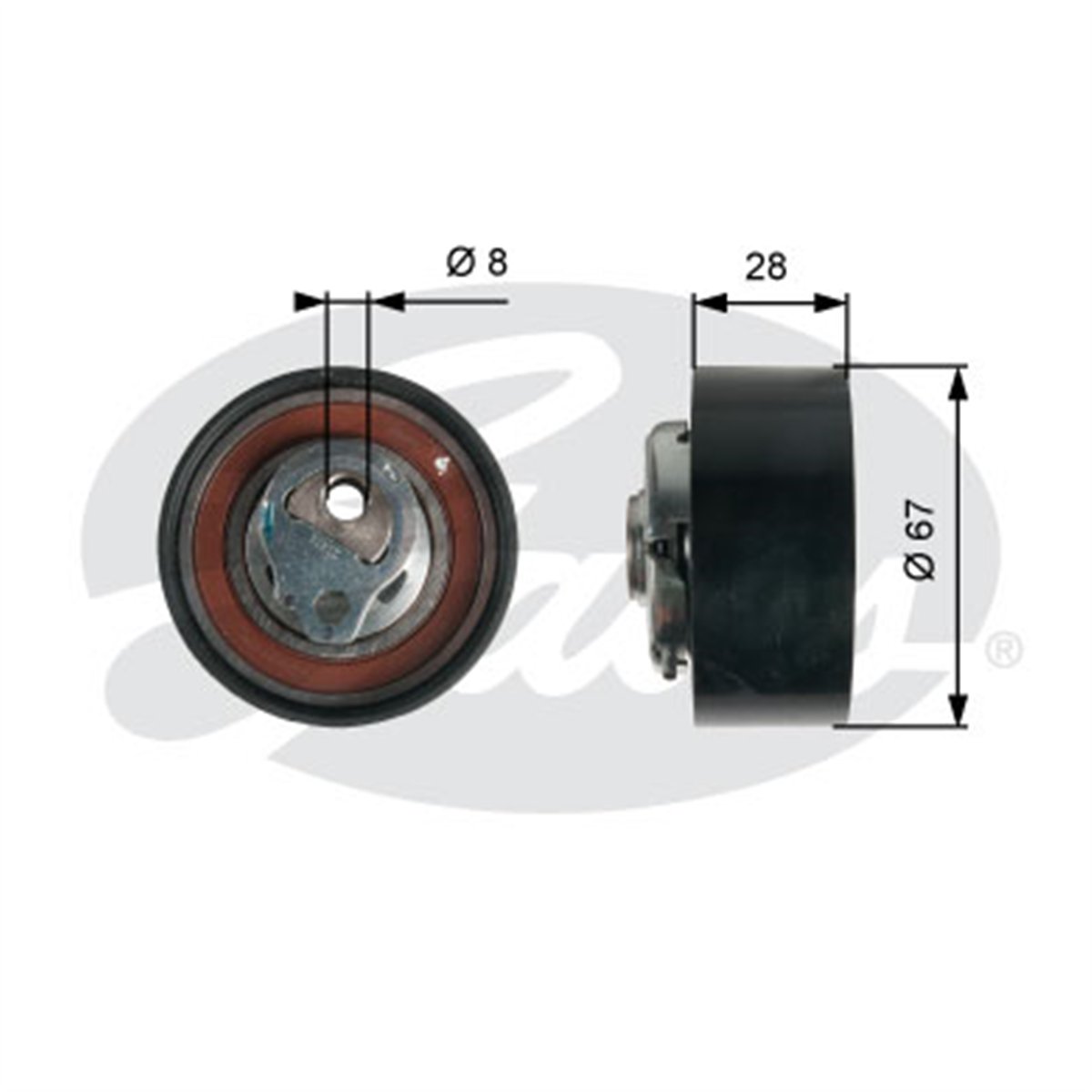 GATES T43136 - Eksantrik Gergi Rulmani - Kore Eastar