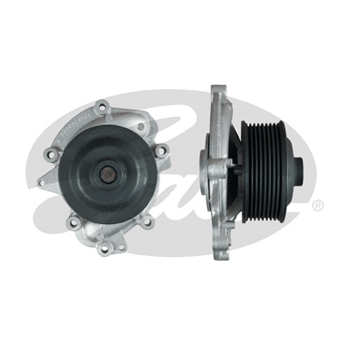 GATES WP0133 - Devirdaim - Mercedes W204-211-221-219-164-g463-639-906