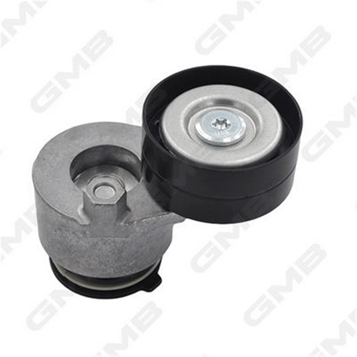 GMB GAT20200 - V Kayis Gergisi Komple - Renault Trafic/master/laguna/vivaro
