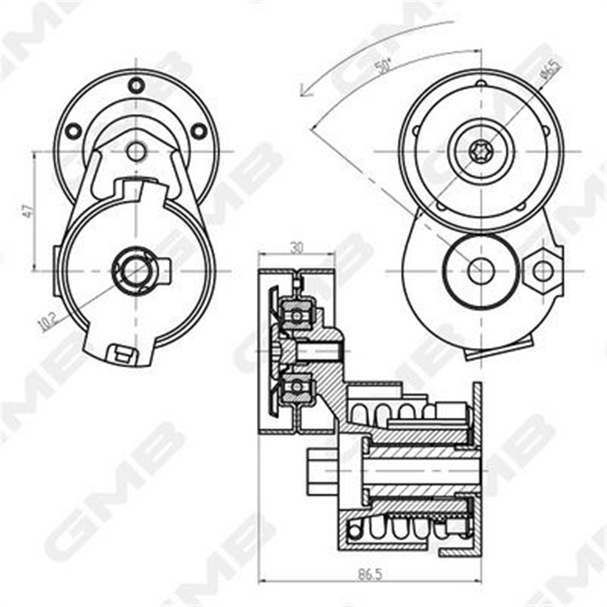 GMB GAT20980 - V Kayis Gergisi Komple - Renault Clio Iii / Megane I-ii-iii