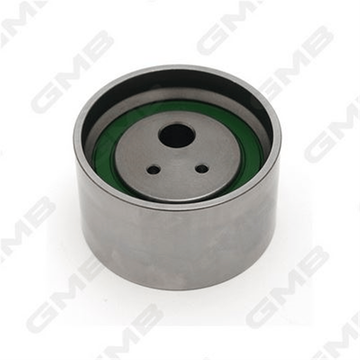 GMB GT10100 - Triger Gergi Rulmani - Kore Terracan/santafe