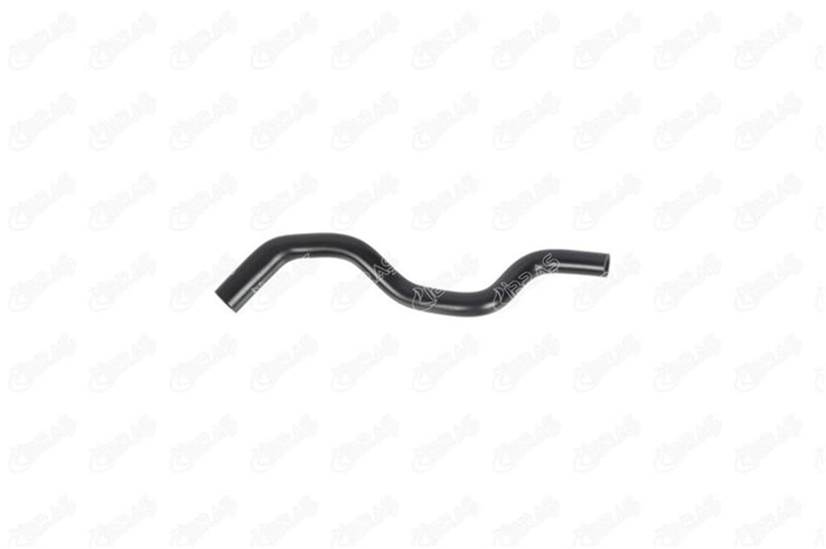 IBRAS 11225 - Devirdaim Hortumu - Renault R9 Spring Expres Clio I