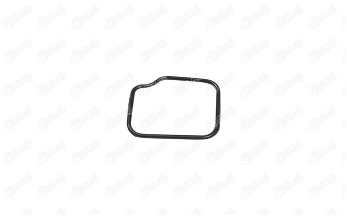 IBRAS 14638 - Termostat Gövde Contasi - Opel Astra H
