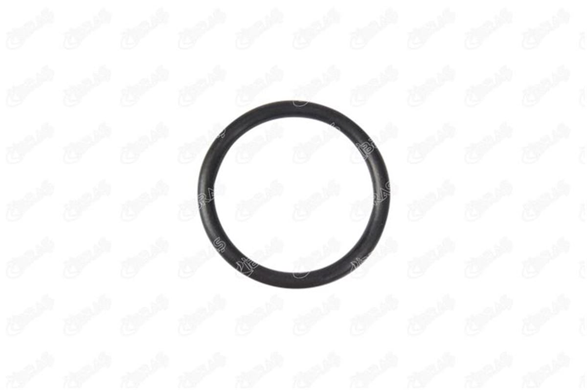 IBRAS 17699 - Manifold Contasi Emme - Fiat Scudo/ducato/expert/partner/berlingo