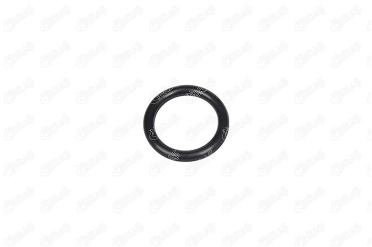IBRAS 19778 - Manifold Contasi Emme - Ford Fiesta/206/c3