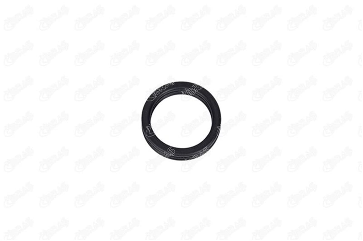 IBRAS 28065 - Oring - Vw Universal