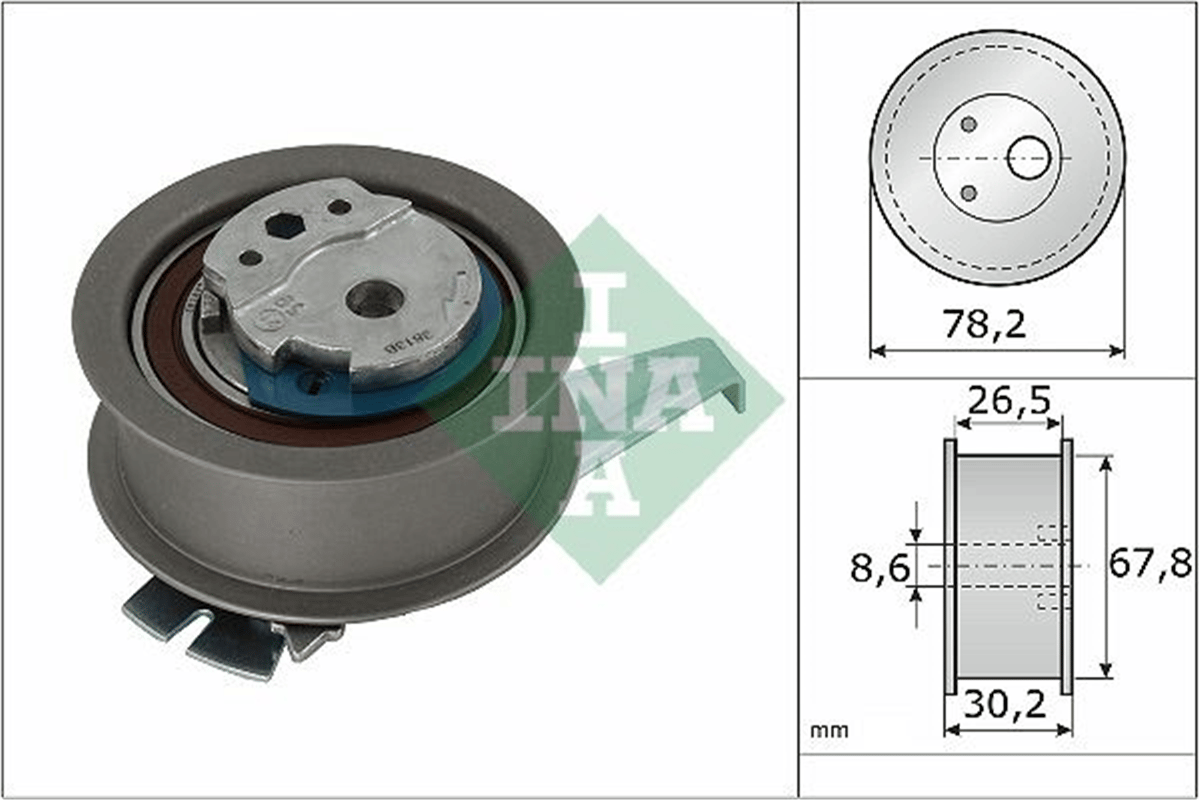 INA 10 - Eksantrik Gergi Rulmani - Vw Caddy-passat-tiguan-a3-a4-a5
