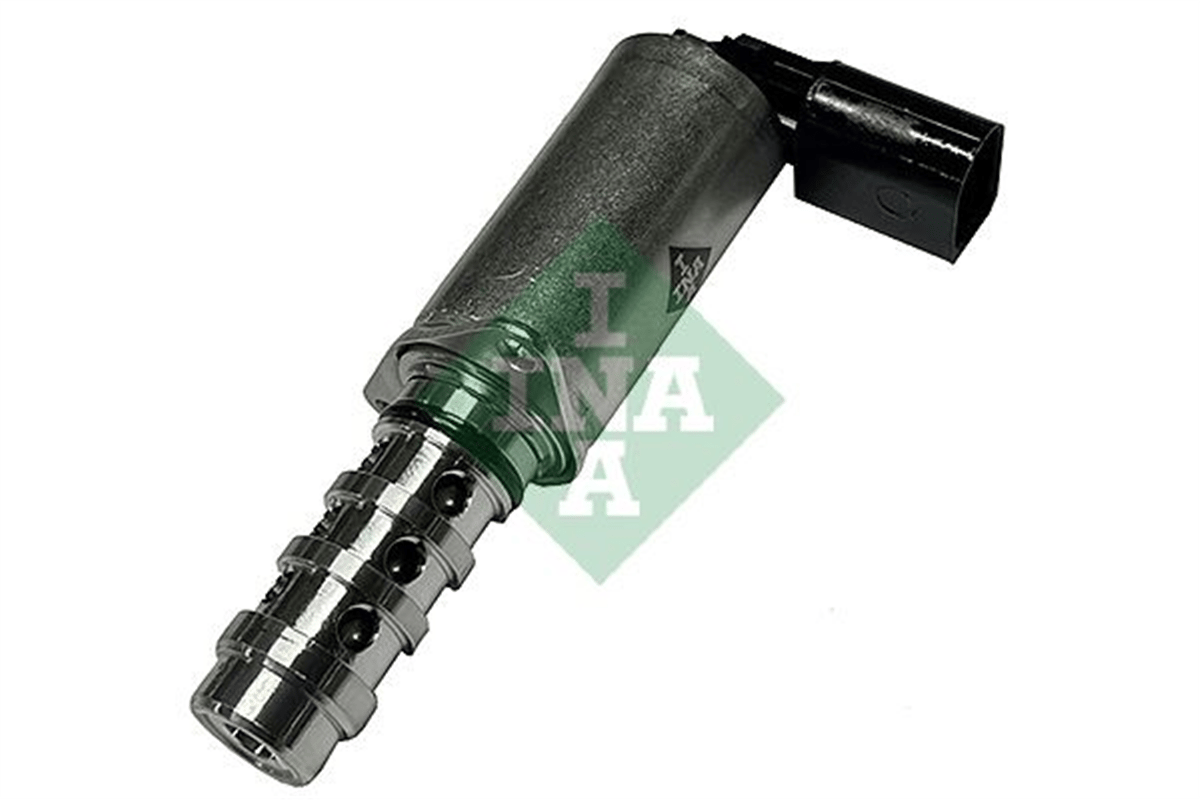 INA 10 - Eksantrik Mil Ayar Valfi - Vw A3-a4