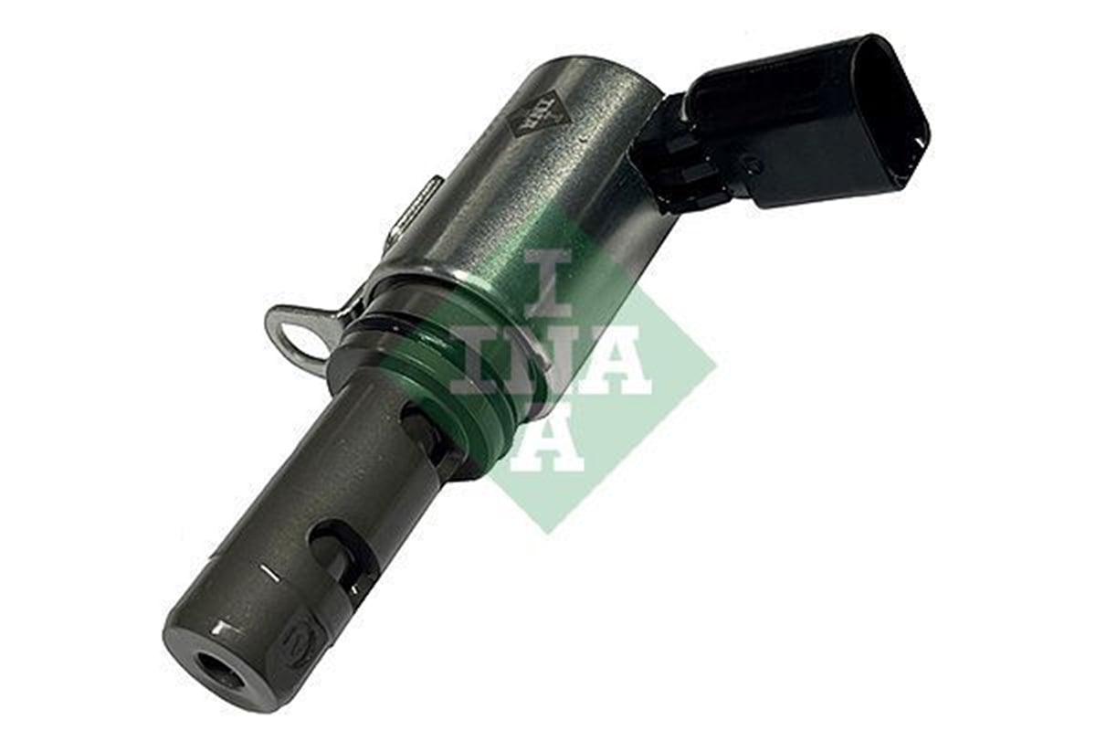 INA 10 - Eksantrik Mil Ayar Valfi - Vw Golf5-golf6-jetta-passat-polo-a3
