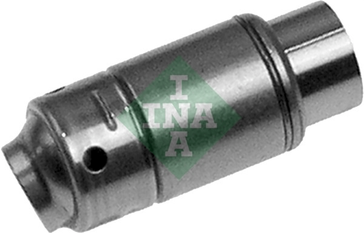 INA 10 - Supap Iticisi - Mercedes W168-414 Vaneo