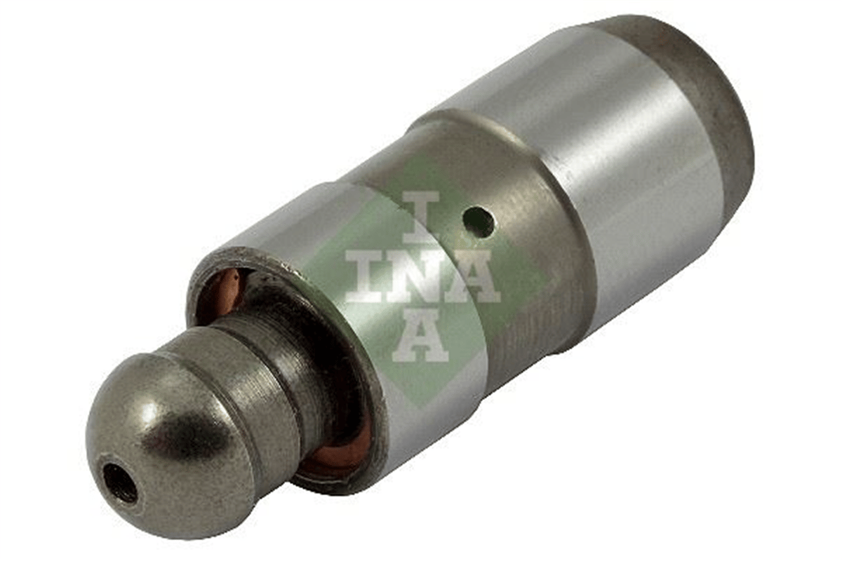 INA 10 - Supap Iticisi - Psa 307/308/406/407/508/expert/mondeo