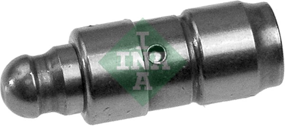 INA 10 - Supap Iticisi - Vw Golf4-golf5-bora-jetta-passat-a3-leon