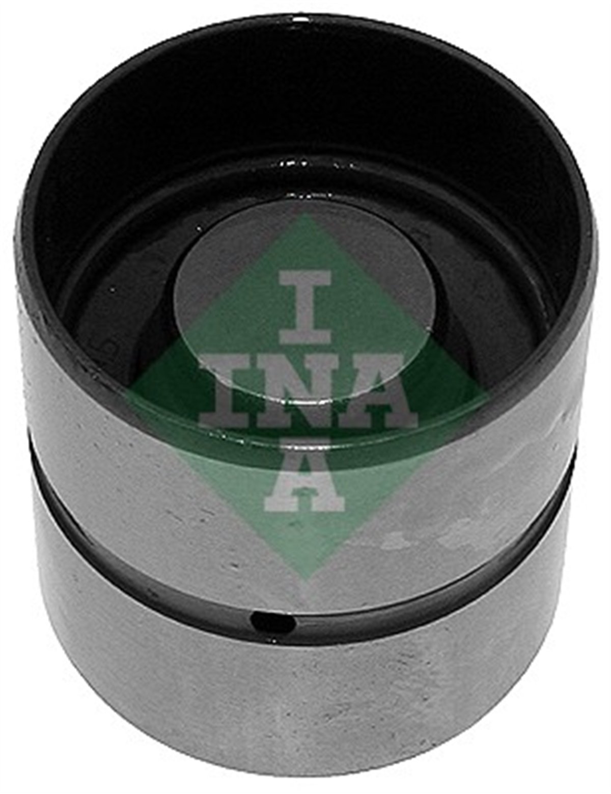 INA 10 - Supap Tusu Emme - Vw Passat-a4-a6
