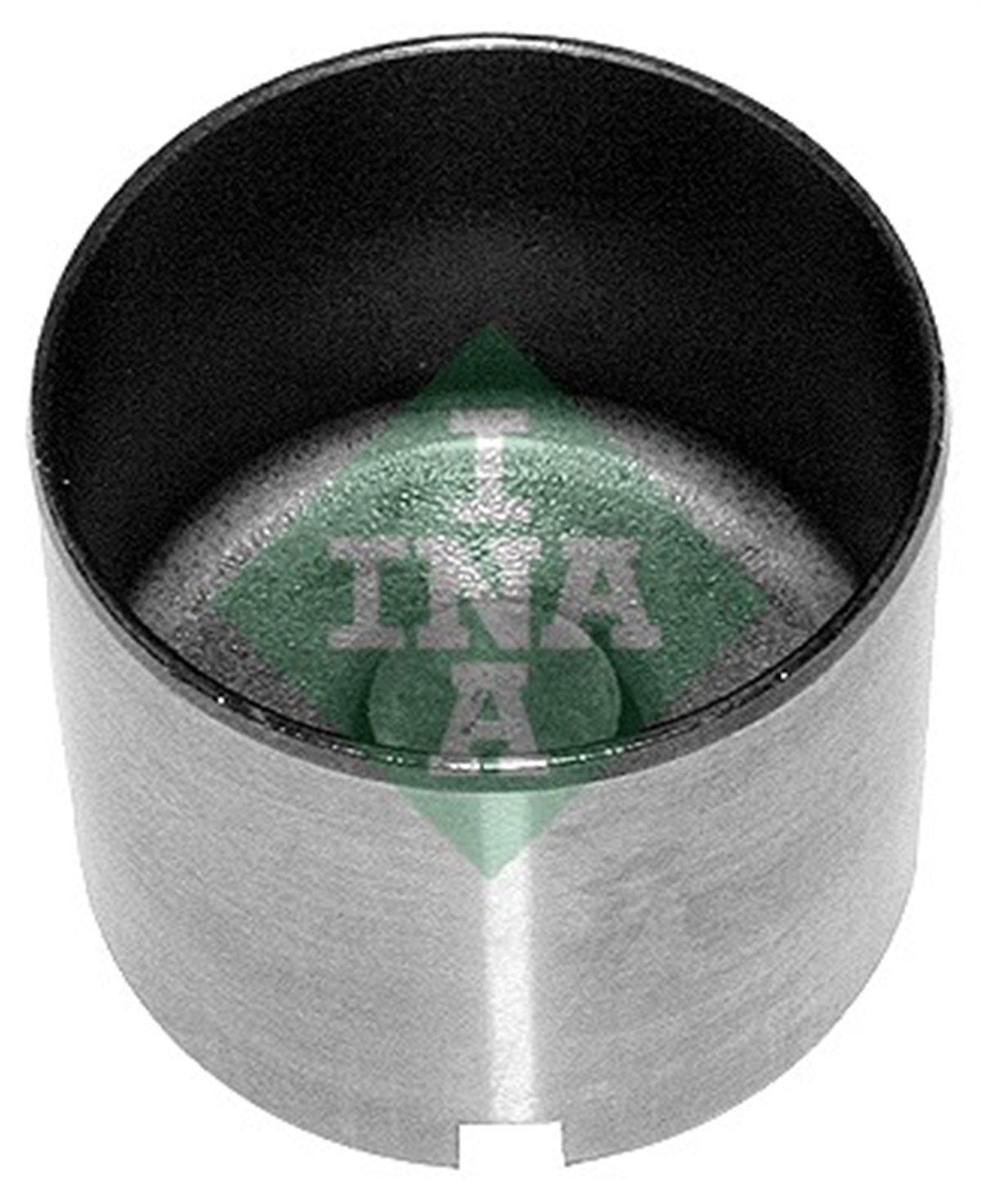 INA 10 - Supap Tusu - Opel Astra G-h Corsa C