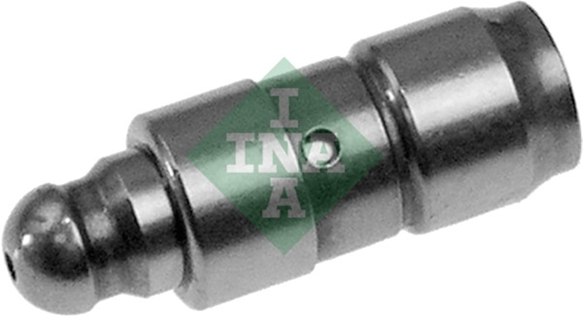 INA 10 - Supap Tusu - Opel Astra G-h-j Corsa B-c-d