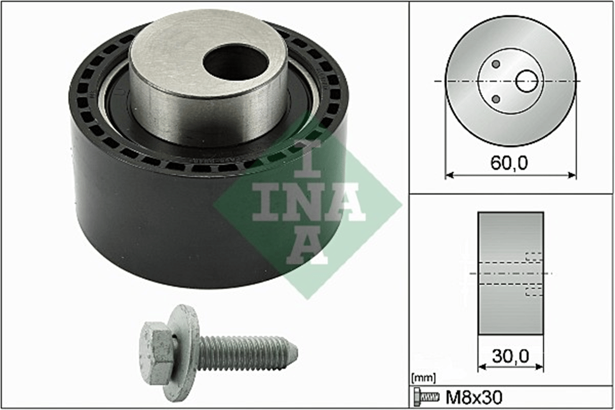 INA 10 - Triger Gergi Rulmani - Psa 206/307
