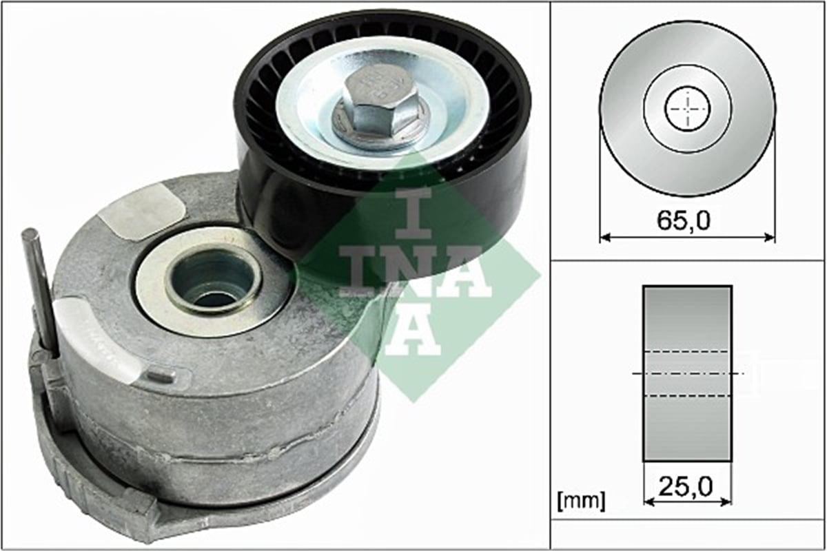 INA 10 - V Kayis Gergi Rulmani - Ford Kuga/407