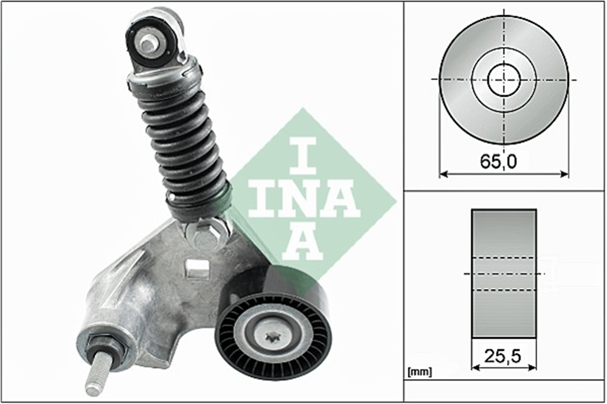 INA 10 - V Kayis Gergi Rulmani - Ford Transit V184/mondeo