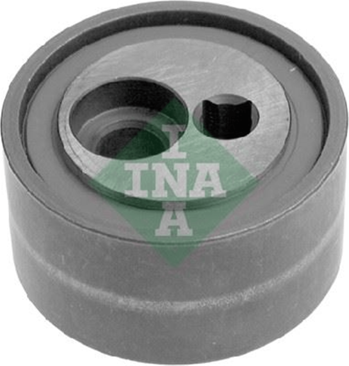 INA 10 - V Kayis Gergi Rulmani - Psa 206/306/406