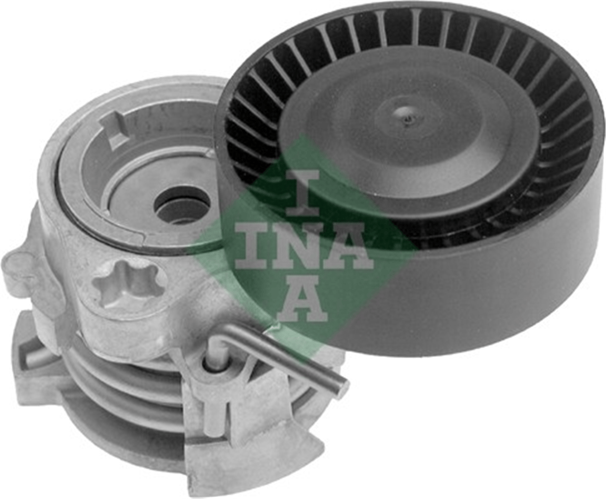 INA 10 - V Kayis Gergisi Komple - Bmw E46-39-38-x5-60