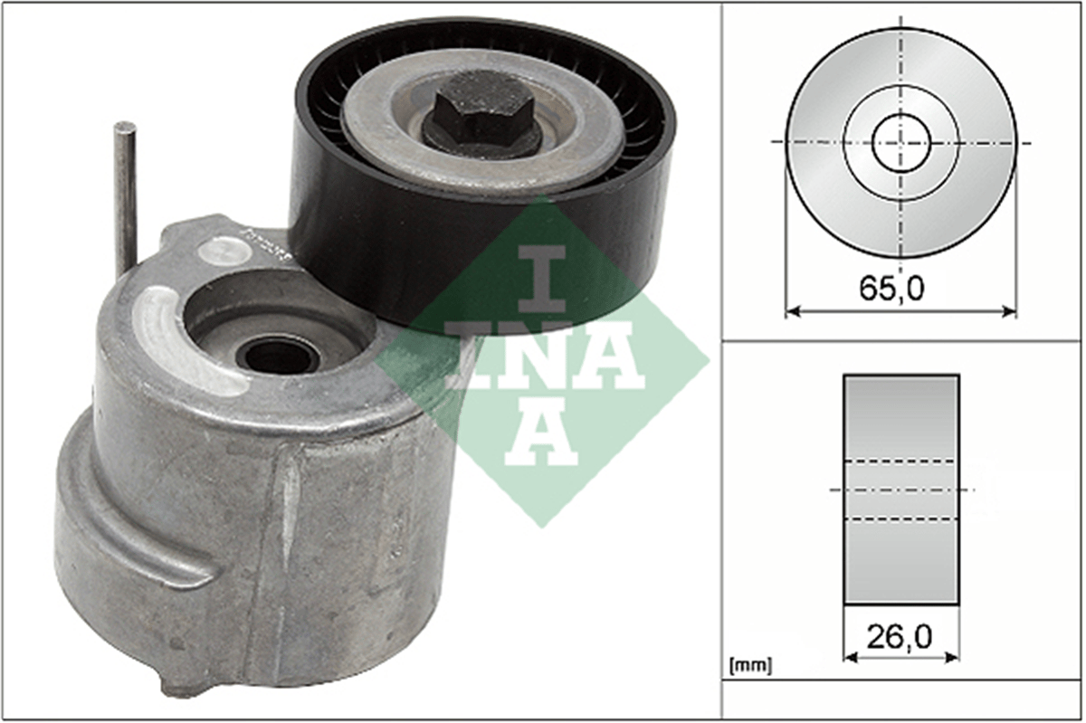 INA 10 - V Kayis Gergisi Komple - Fiat Bravo Ii /egea /giulietta/fiat-500/astra