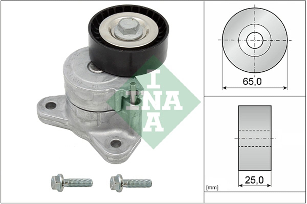 INA 10 - V Kayis Gergisi Komple - Fiat Chreysler-jeep Compass-citroen-crosser