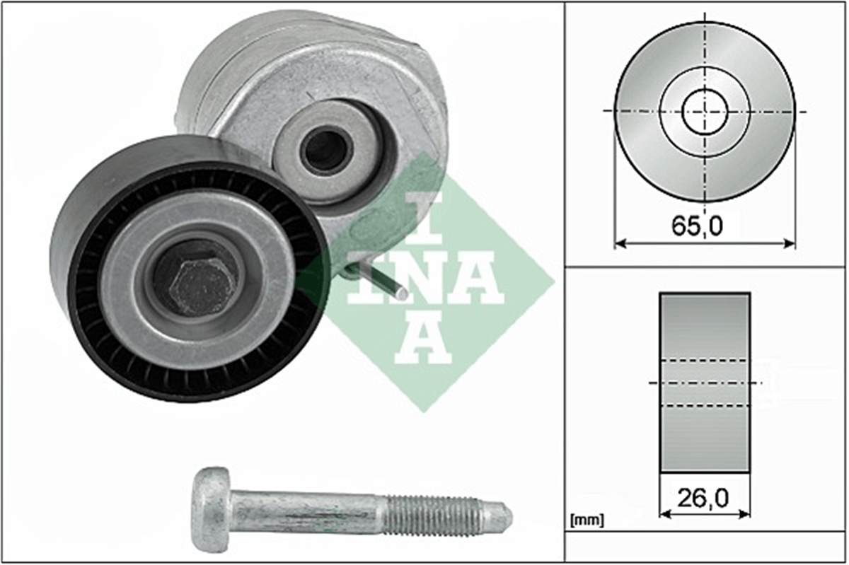 INA 10 - V Kayis Gergisi Komple - Fiat Doblo/albea/linea/fiorino/punto/opel