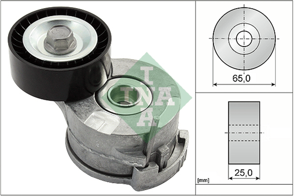 INA 10 - V Kayis Gergisi Komple - Fiat Scudo-407-c5-308-3008-508-5008-c3 Iii-proace