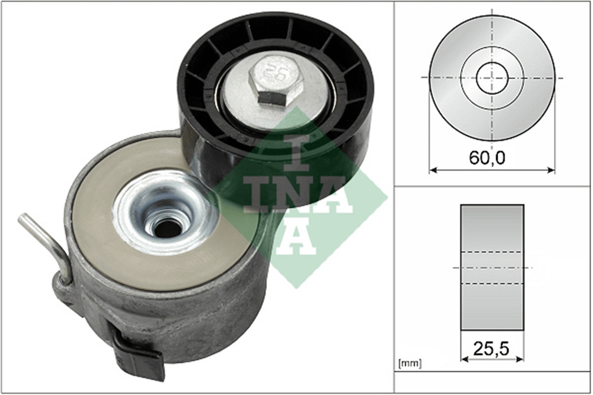 INA 10 - V Kayis Gergisi Komple - Fiat Scudo Iii/expert Iii/berlingo Ii-iii/partner Tepe Ii-iii/407/c5(x7)/c3 Ii