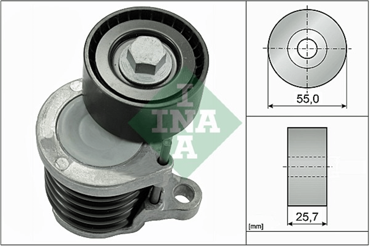 INA 10 - V Kayis Gergisi Komple - Mercedes 205-222-glc X253-r172