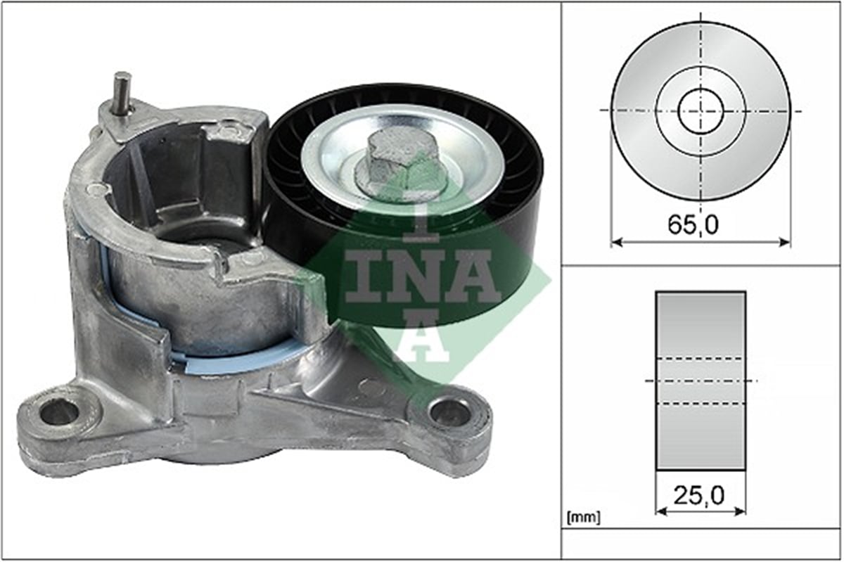 INA 10 - V Kayis Gergisi Komple - Psa 307/406/407