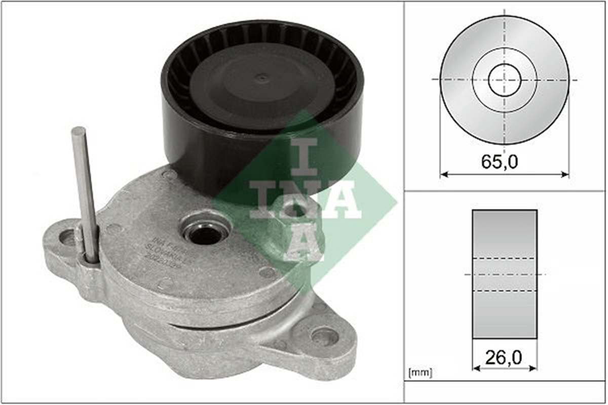INA 10 - V Kayis Gergisi Komple - Psa Boxer Iv