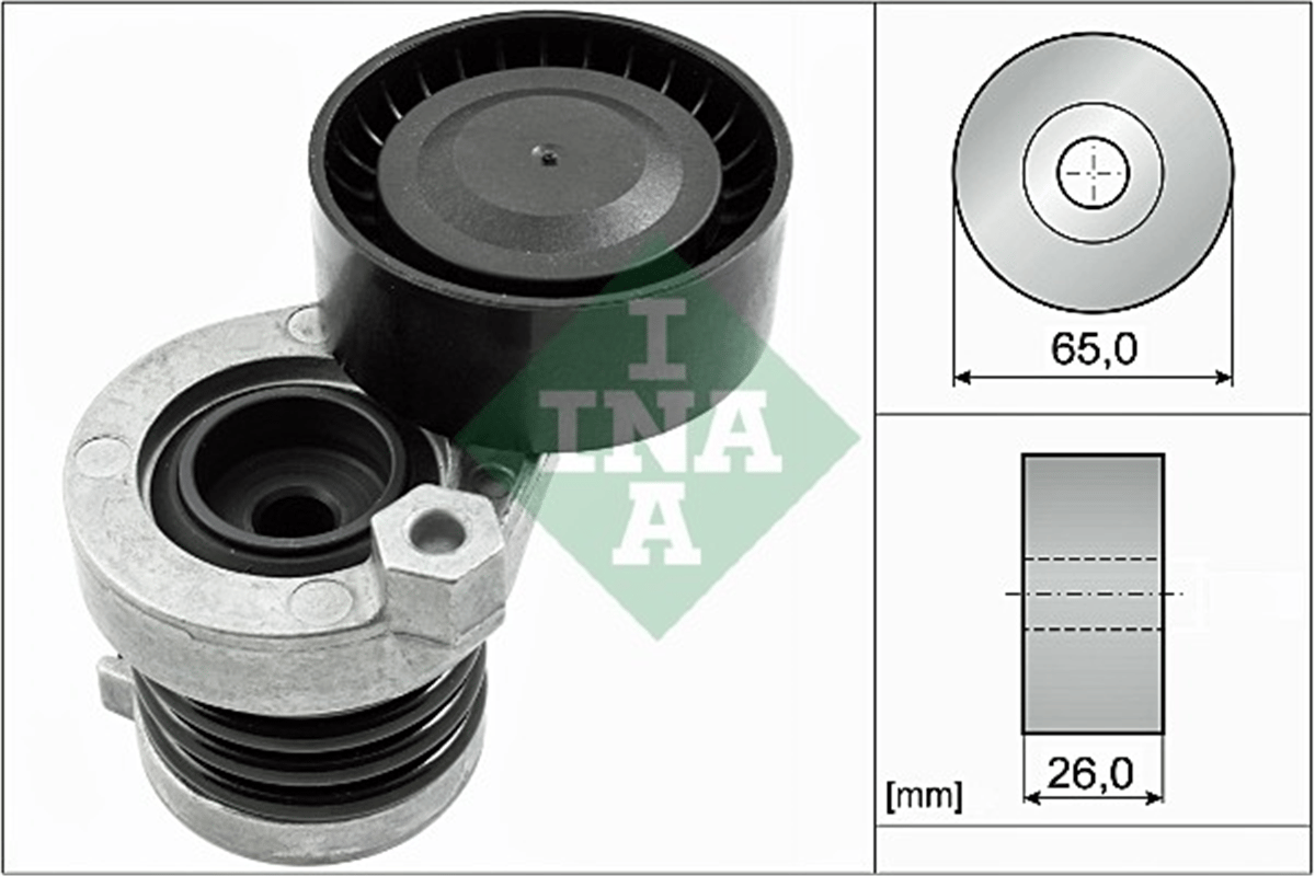 INA 10 - V Kayis Gergisi Komple - Renault Clio/kangoo/megane/modus/scenic/duster/logan/dokker/117-176-246-415 Jitan
