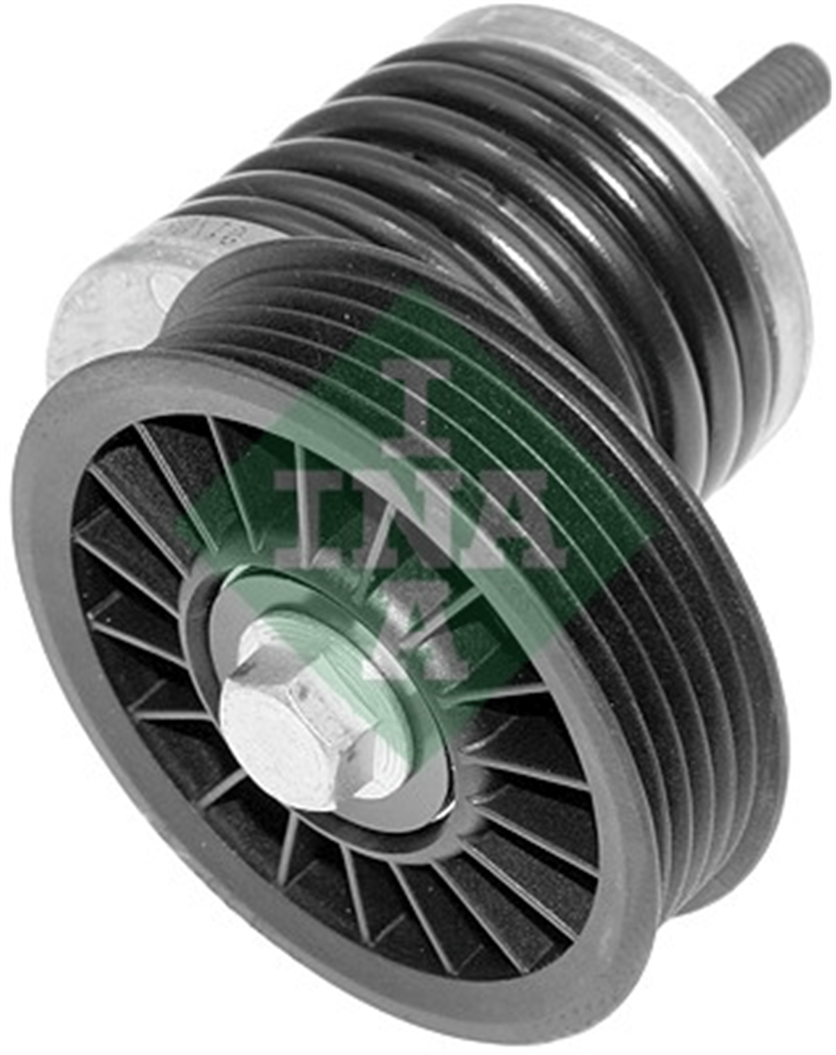 INA 10 - V Kayis Gergisi Komple - Vw Passat-a4-a6
