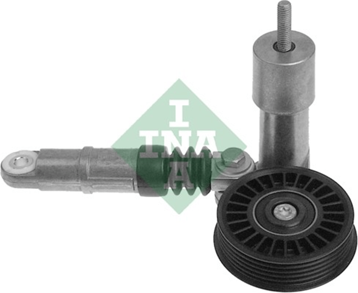 INA 10 - V Kayis Gergisi Komple - Vw Passat-a4