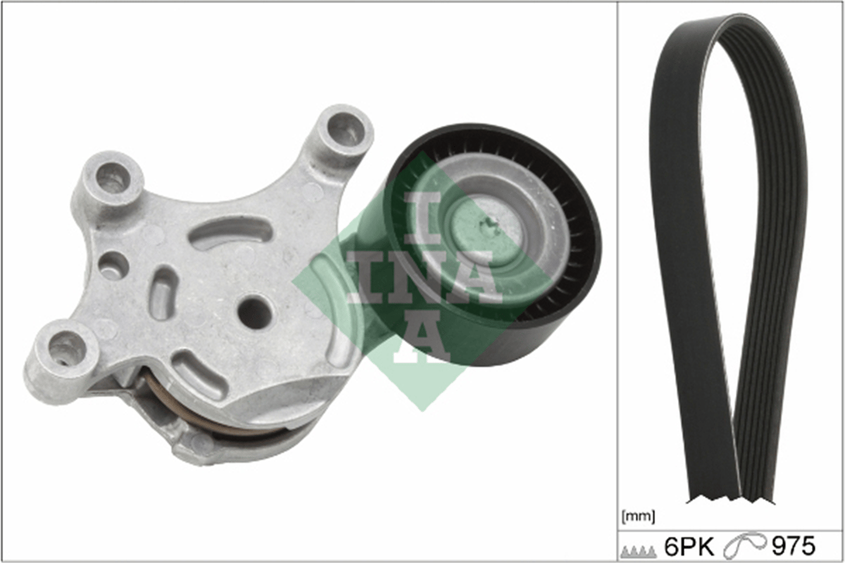 INA 10 - V Kayis Seti - Ford Focus/c-max