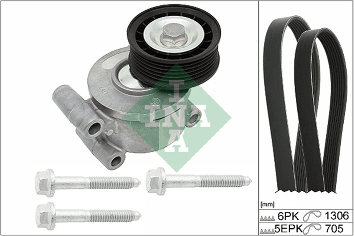 INA 10 - V Kayis Seti - Ford Focus/c-max