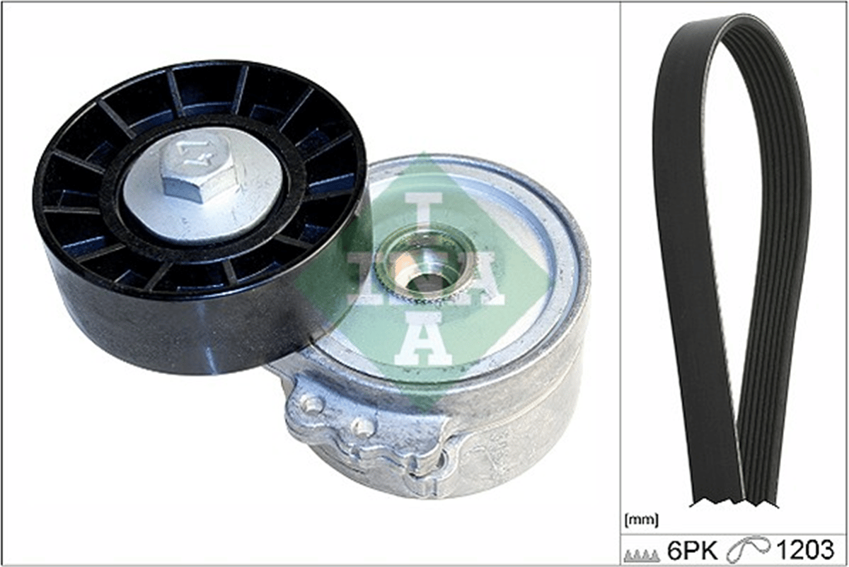 INA 10 - V Kayis Seti - Ford Focus/c-max/406/607/partner