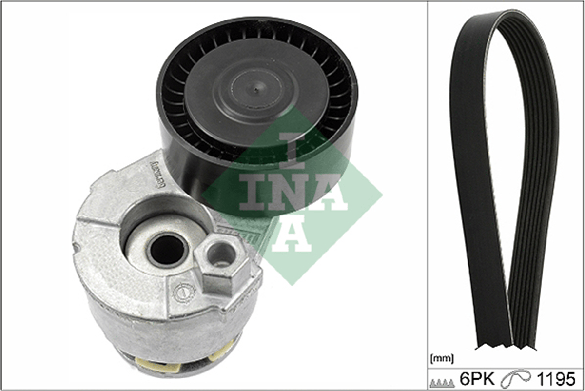 INA 10 - V Kayis Seti - Renault Clio/kangoo/megane/modus/scenic/duster/logan/dokker/117-176-246-415 Jitan