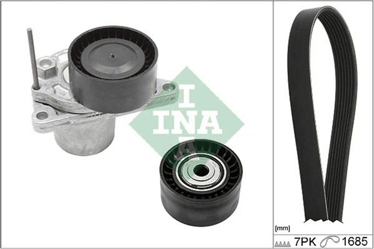 INA 10 - V Kayis Seti - Renault Fluence/kadjar/megan Iii-iv/trafic Iii/vito/ Qashqa