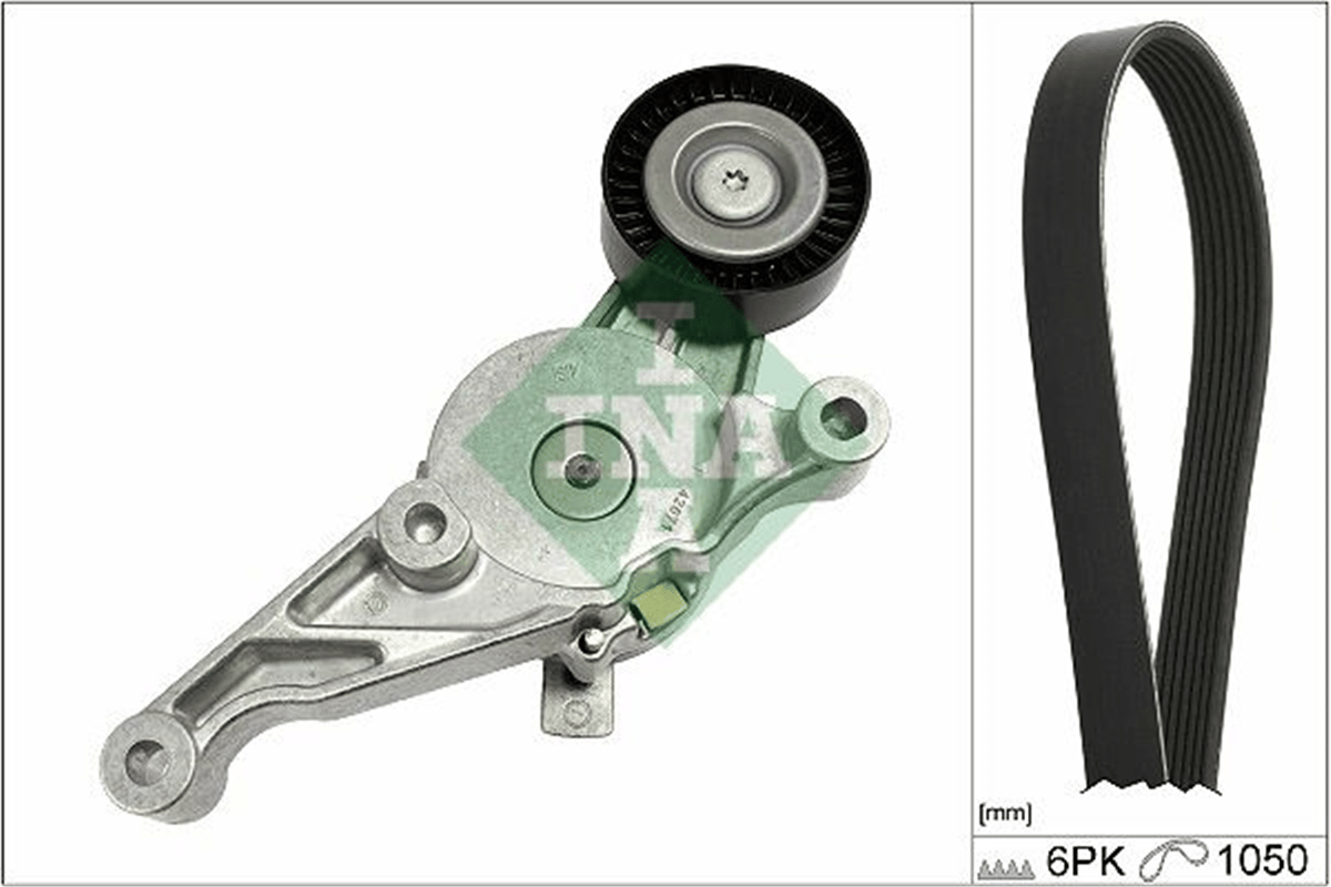 INA 10 - V Kayis Seti - Vw Golf5-caddy-passat-t5-a3-a4