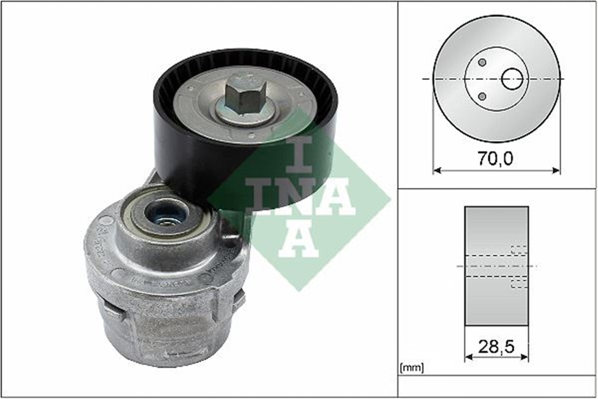 INA 20 - V Kayis Gergisi Komple - Fiat Dct Iii/daily Iii/iv/v/vi