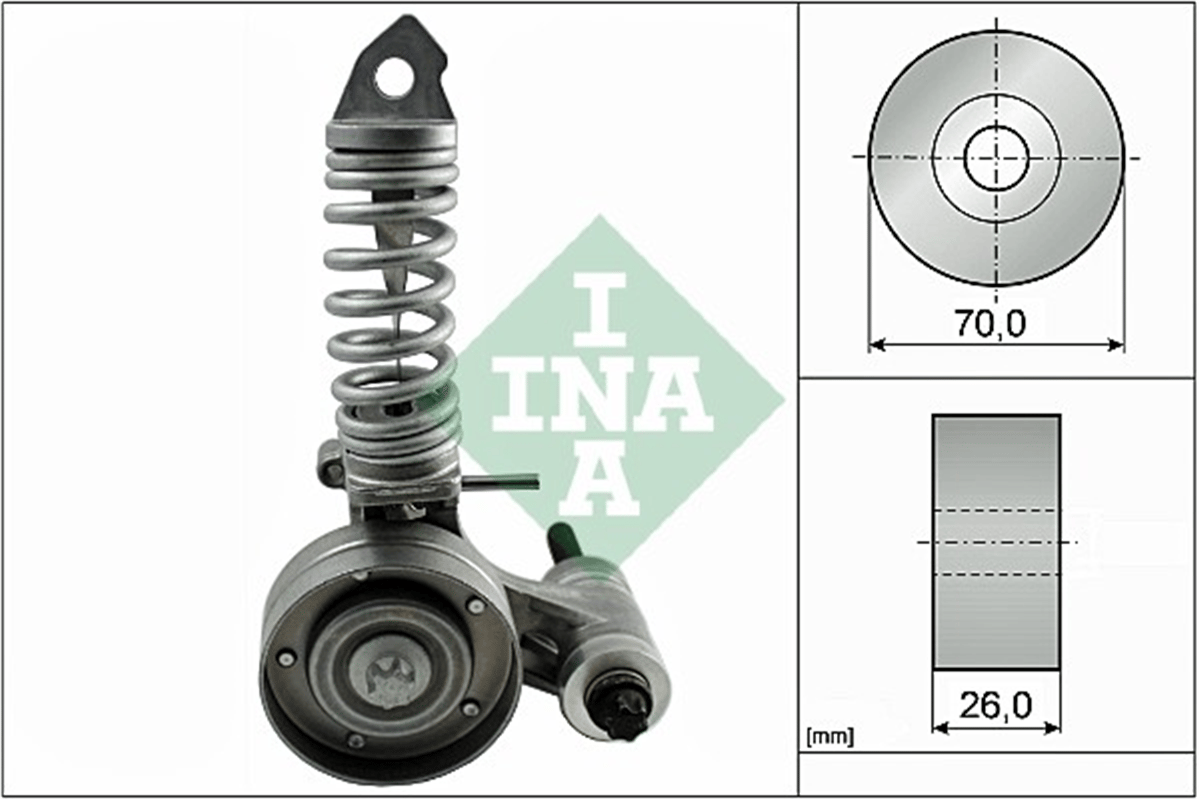 INA 30 - V Kayis Gergi Rulmani - Opel Astra G-h Corsa B-c-d